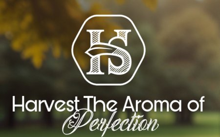 Discover the Timeless Beauty of Madawi Arabian Oud