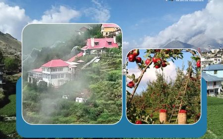 Exploring the Richest Village in Asia with an Inspiring Success Story