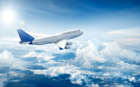 Insurance Claim Support via Singapore Airlines Phone Number Orlando