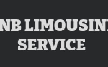 Professional Corporate Airport Transfer Service