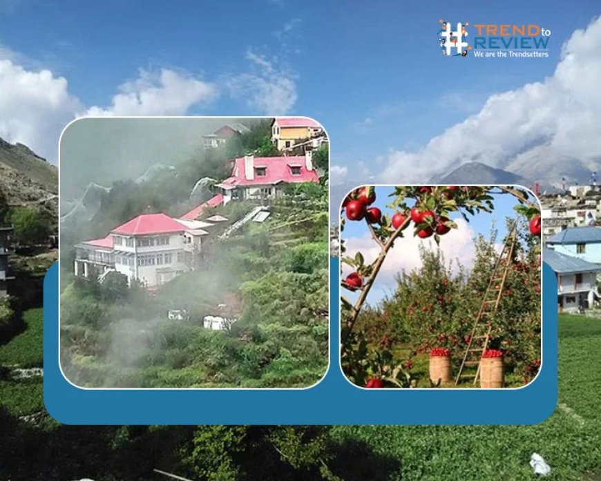 Exploring the Richest Village in Asia with an Inspiring Success Story