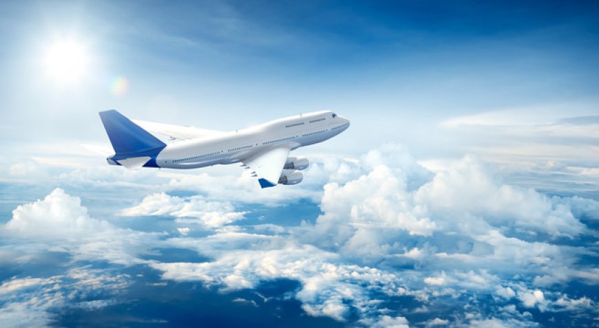 Insurance Claim Support via Singapore Airlines Phone Number Orlando