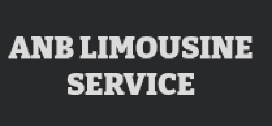 Professional Corporate Airport Transfer Service