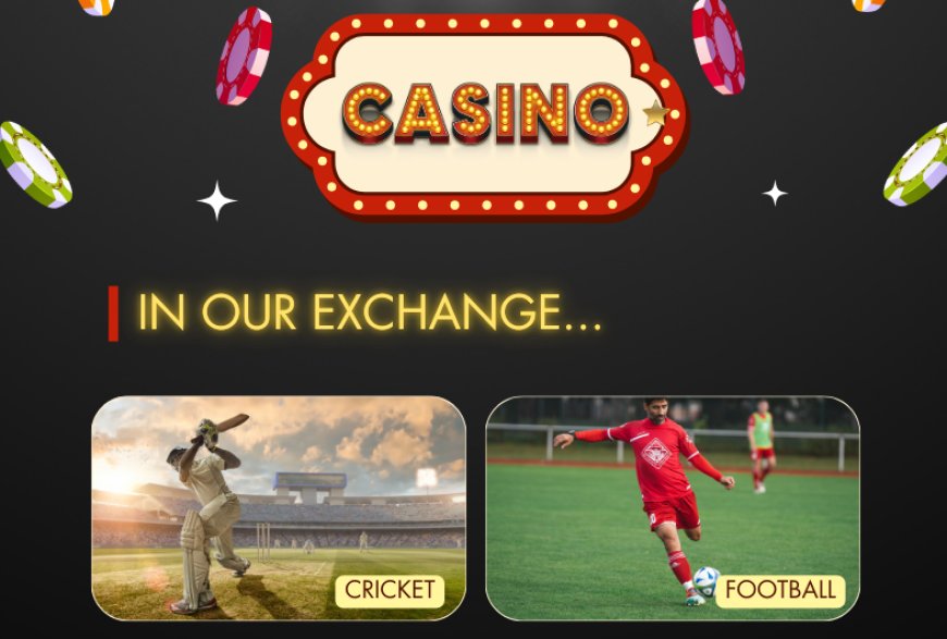 How to Create Your 11xplay Account – Quick & Easy Sign-Up Guide for New Users