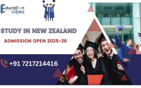 Can I get PR if I study in New Zealand?