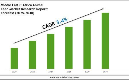 Middle East & Africa Animal Feed Market Outlook 2030 Trends, Growth & Demand