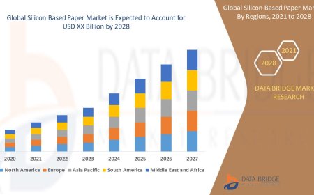 Silicon Based Paper Market Rises with Growth in Food-Grade, Non-Stick, and Packaging Applications