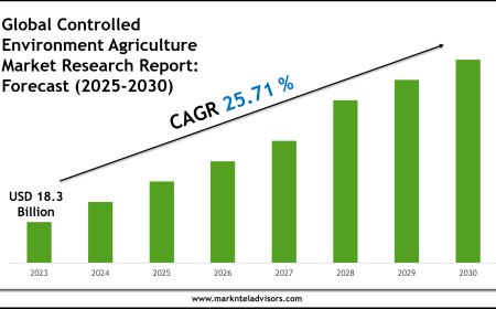 Controlled Environment Agriculture Market Outlook 2030 Trends, Growth & Demand