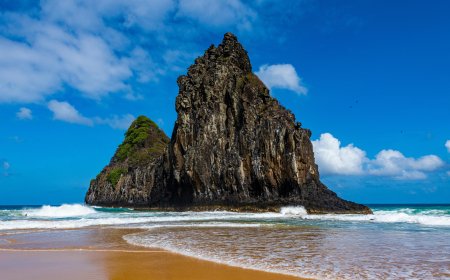 All You Need to Know About the Turkish Airlines New York City Office