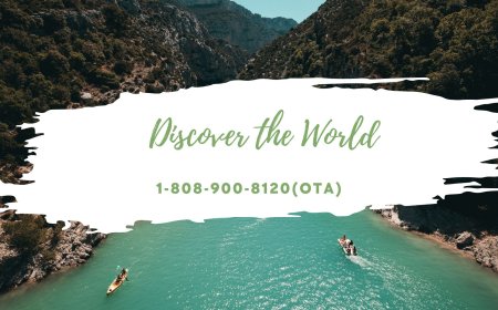 Como puedo contactar con ANA Airlines?