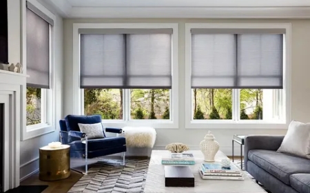 Stylish Roller Blinds for Homes in Toronto