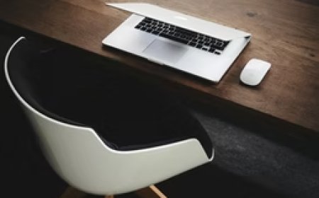 Reliable New Zealand Immigration Advice: Your Guide to Seamless Immigration