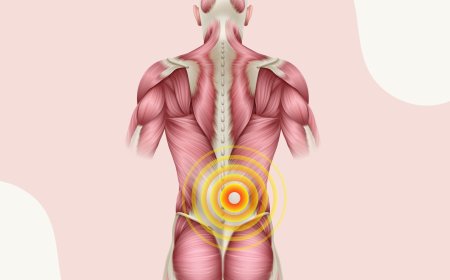 The Best Exercises for Healing a Lower Back Muscle Strain