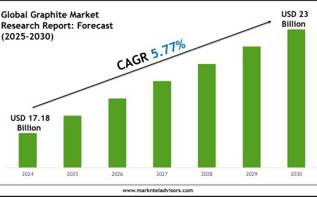 Exploring Graphite Market Trends: Growth Outlook to 2030