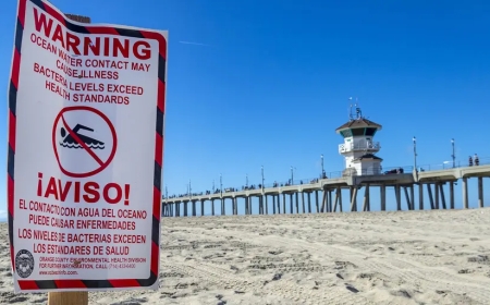 High Bacteria Levels Trigger July 4th Beach Closures Across U.S. Coastlines