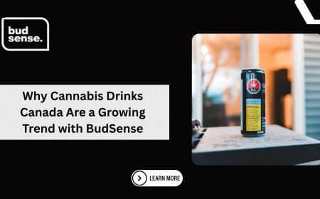Why Cannabis Drinks Canada Are a Growing Trend with BudSense