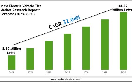 India Electric Vehicle Tire Market Forecast 2025–2030: Key Players, Trends & Outlook
