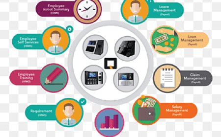 Free Attendance & Payroll Software for Small Business