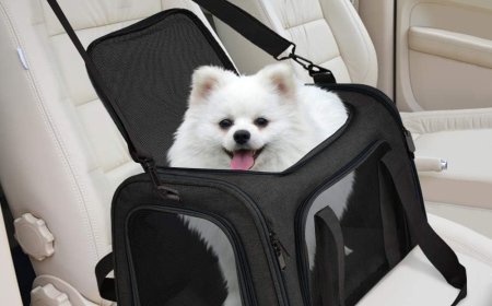 Why Every Pet Parent Needs a Reliable Puppy Car Carrier