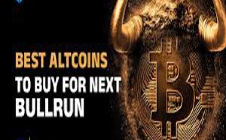 Bonk Price Prediction 2025: Is This Meme Coin a Hidden Gem for Long-Term Investors?