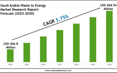 2025–2030 Saudi Arabia Waste to Energy Market Snapshot: Growth, Value & Forecast