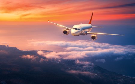 Avoid the IVR Maze: Talk to Breeze or Southwest Instantly