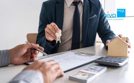 Insurance Seller: Role, Skills, and How to Start in 2025