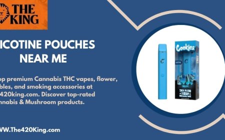 The 420 King Explores the Rise of Nicotine Pouches Near Me in the U.S.