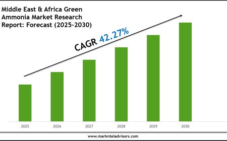 2025–2030 Middle East & Africa Green Ammonia Market Landscape: Growth, Share & Opportunities
