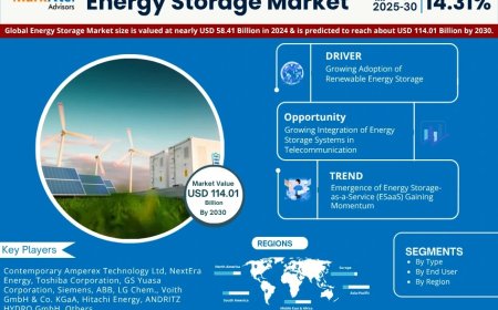 Energy Storage Market Share & Forecast 2025–2030: Insights & Drivers
