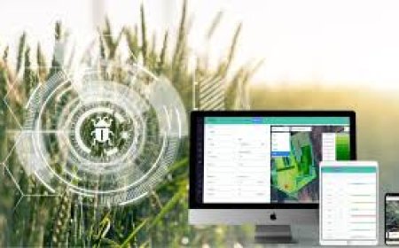 Crop Yield Forecasting Apps by Mobile App Developers in Dallas