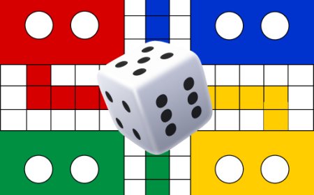 What Is the Experience of Playing the Ludo Game?