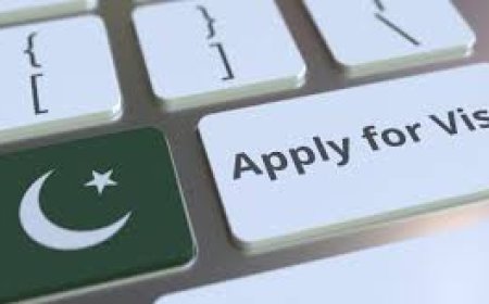 Apply Canada Visa From Pakistan: Everything You Need To Know
