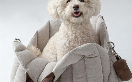 The Ultimate Guide to Choosing the Right Dog Overnight Bag for Travel