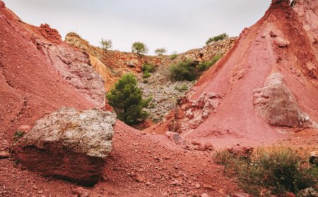 Bauxite Market Size, Price, Value & Industry Analysis 2025 to 2034