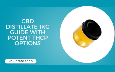 CBD Distillate 1KG Bulk Guide with THCp Insights
