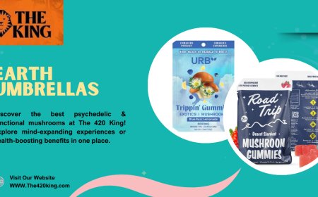 Earth Umbrellas and Mushrooms: A Calm and Energizing Journey with The 420 King