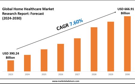 2024–2030 Home Healthcare Market Landscape: Growth, Share & Opportunities