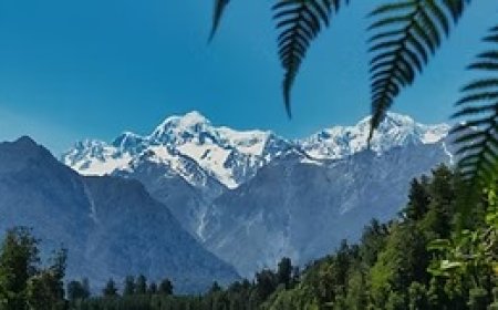 Need More Time? Visitor Visa Extension Options in New Zealand