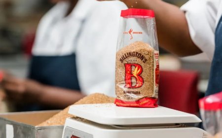 Check Out the Best Organic Special Sugars: From Muscovado to Coconut Palm