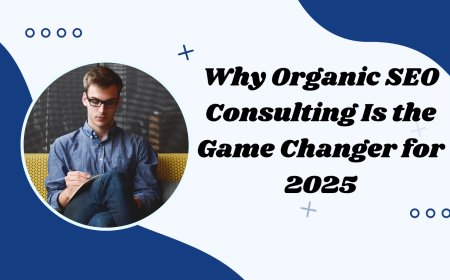 Why Organic SEO Consulting Is the Game Changer for 2025