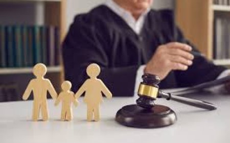 How to Choose the Best Family Lawyer?
