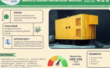Mexico Diesel Generator Market Share & Forecast 2024–2030: Insights & Drivers