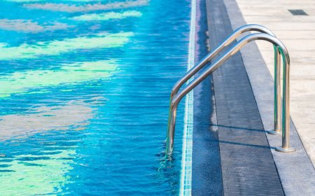 Dog Stairs for Pontoon Boats vs Boat Stairs for Dogs Which Option Is More Comfortable for Your Pet