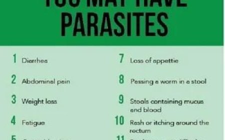 How Do You Know If You Have Parasites? Key Symptoms