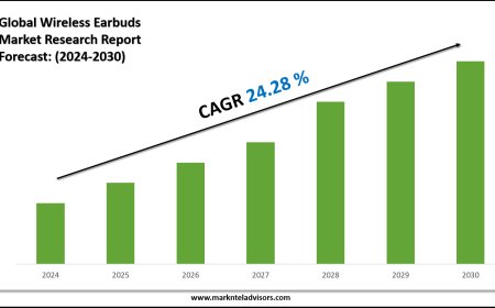 2024–2030 Wireless Earbuds Market Landscape: Growth, Share & Opportunities