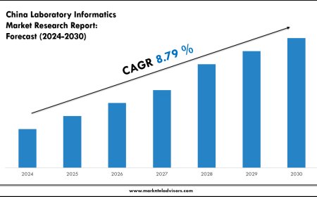 China Laboratory Informatics Market Research 2024–2030: Demand Drivers & Projections