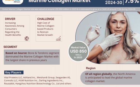Marine Collagen Market Share & Forecast 2024–2030: Insights & Drivers