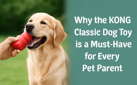 Why the KONG Classic Dog Toy is a Must-Have for Every Pet Parent
