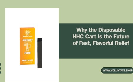 Why the Disposable HHC Cart Is the Future of Fast, Flavorful Relief